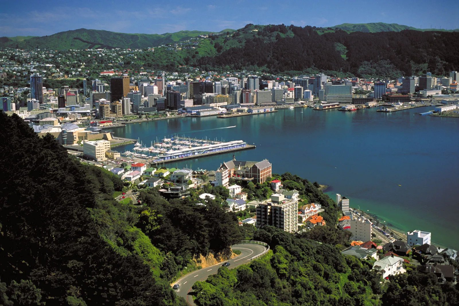 wellington new zealand population 2022